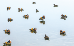 今天雨水继续 明天阳光回归，气温回升 适合洗晒、出游