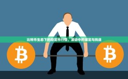 比特币生态下的稳定币行情，波动中的锚定与挑战