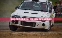 浙江二手欧四车交易市场，机遇与挑战并存的过渡期选择