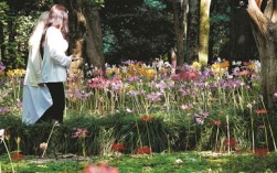 秘境生香 “彼岸”流芳