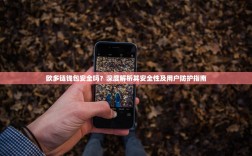 欧多链钱包安全吗？深度解析其安全性及用户防护指南