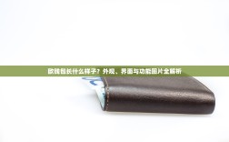 欧钱包长什么样子？外观、界面与功能图片全解析