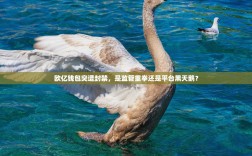 欧亿钱包突遭封禁，是监管重拳还是平台黑天鹅？