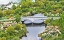 滇池绿道：荻花醉秋色