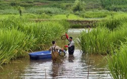 富源青石社区：小龙虾发展成“大产业”