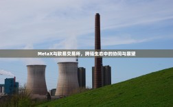 MetaX与欧易交易所，跨链生态中的协同与展望