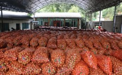 从山野到都市 她把镇安核桃卖遍全国