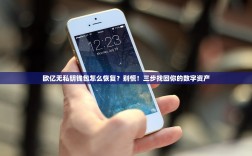 欧亿无私钥钱包怎么恢复？别慌！三步找回你的数字资产