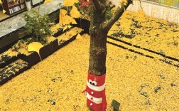 阳光回归 寒气冻人 银杏飘飞满地黄 冬日的氛围感更浓了