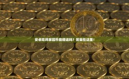 安卓吃鸡家园币能赠送吗？答案在这里！