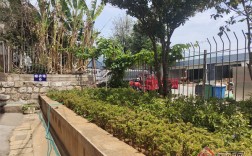 “企业出资源+社区来托管”！昆明金马街道基层社会治理模式再显成效