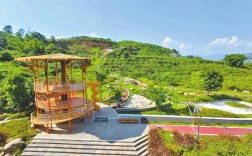 华坪县：农旅融合 芒果飘香