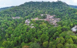 普洱市把生态优势转化为发展优势 碳汇资源开发先行先试