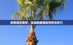 抹茶绿交易所，当金融邂逅自然的治愈力