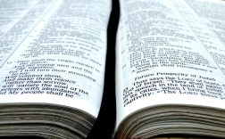 福州欧拉二手车交易市场，绿色出行的实惠之选，品质二手车的可靠港湾