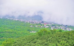 【“白云升处·乡兴志”系列全媒体蹲点调研报道】咖啡飘香 新寨兴旺