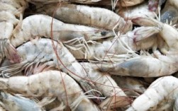 南极磷虾油磷脂含量为0！“同仁堂”陷消费者信任危机