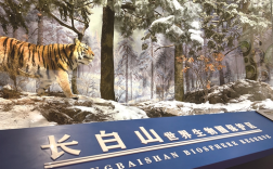 天目未来谷临安生态研学馆8月底试运营