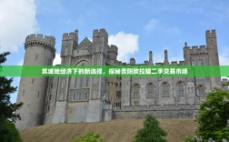 筑城她经济下的新选择，探秘贵阳欧拉猫二手交易市场