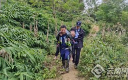 持续寻找26小时！云南文山警民护送八旬走失老人归家