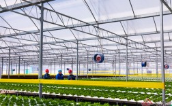 云南曲靖：优质电力护航大湾区“菜篮子”