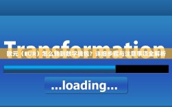 欧元（EUR）怎么转到数字钱包？详细步骤与注意事项全解析