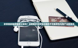 欧意能删除冷钱包记录吗？深度解析冷钱包记录的不可更改性与用户注意事项