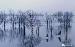 【早安云南·云游】一念成湖处，遇见飞鸟与晨曦