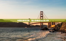 中国比特币行情，惊心动魄的过山车之旅