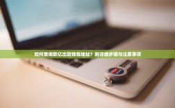 如何查询欧亿出款钱包地址？附详细步骤与注意事项