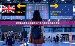 欧线集运交易所是国企吗？揭开其背后的身份之谜