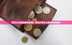 欧怎么充值到钱包里面？详细步骤与注意事项全解析