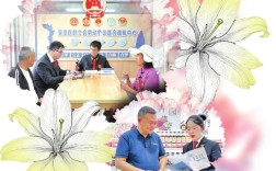 云南法院以司法之力护航云花产业发展 让“美丽经济”在云岭大地盛放