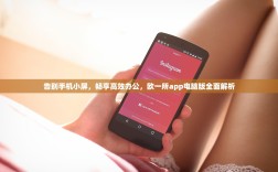 告别手机小屏，畅享高效办公，欧一所app电脑版全面解析