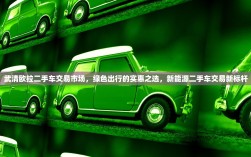 武清欧拉二手车交易市场，绿色出行的实惠之选，新能源二手车交易新标杆