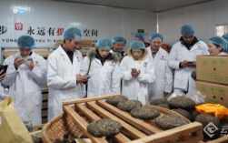 云南城建职院开展“云茶电商”实践 产教融合赋能产业转型