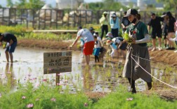当我们和青年农场主一起直面理想与现实