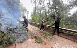 干群齐心同上阵，大理巍山县牛街乡合力清障保通畅