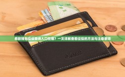 易欧钱包征信查询入口在哪？一文详解查看征信的方法与注意事项