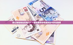 欧亿钱包地址在哪儿？一篇指南帮你快速找到与安全使用