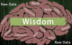 威廉·欧奈尔的入场点艺术，在趋势起飞前精准登机