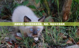 成都欧猫二手交易市场全攻略，电话、地址与交易指南