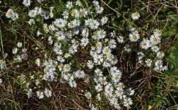 抹茶交易所清退风波，行业洗牌加剧，用户资产安全何去何从？