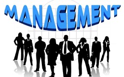 解码市场脉搏，欧义交易所实时价格指数的深度解析