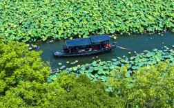 湘湖九曲桥上赏荷，摇橹船里寻梦，真是神仙画面