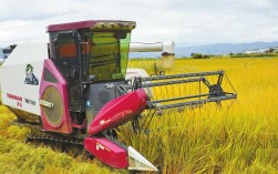 开远市：科技助力 智慧丰收