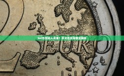 Sol币创始人是谁？中文名及背景全解析