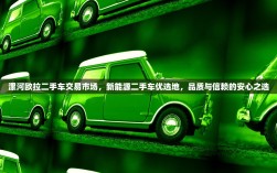 漯河欧拉二手车交易市场，新能源二手车优选地，品质与信赖的安心之选