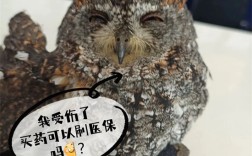 昆明警方救助多只“国保”野生动物