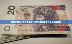 欧易交易所还币在哪里看？手把手教你查询还币记录与状态